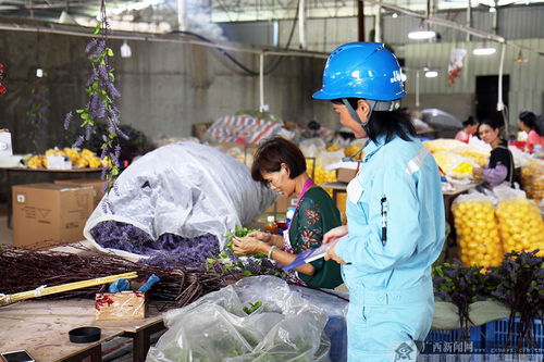 钟山 织好供电网 铺就致富路